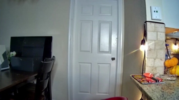 Cuntytrannylydia  04-10-2021